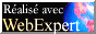 Web expert
